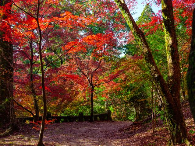 写真：仁比山神社