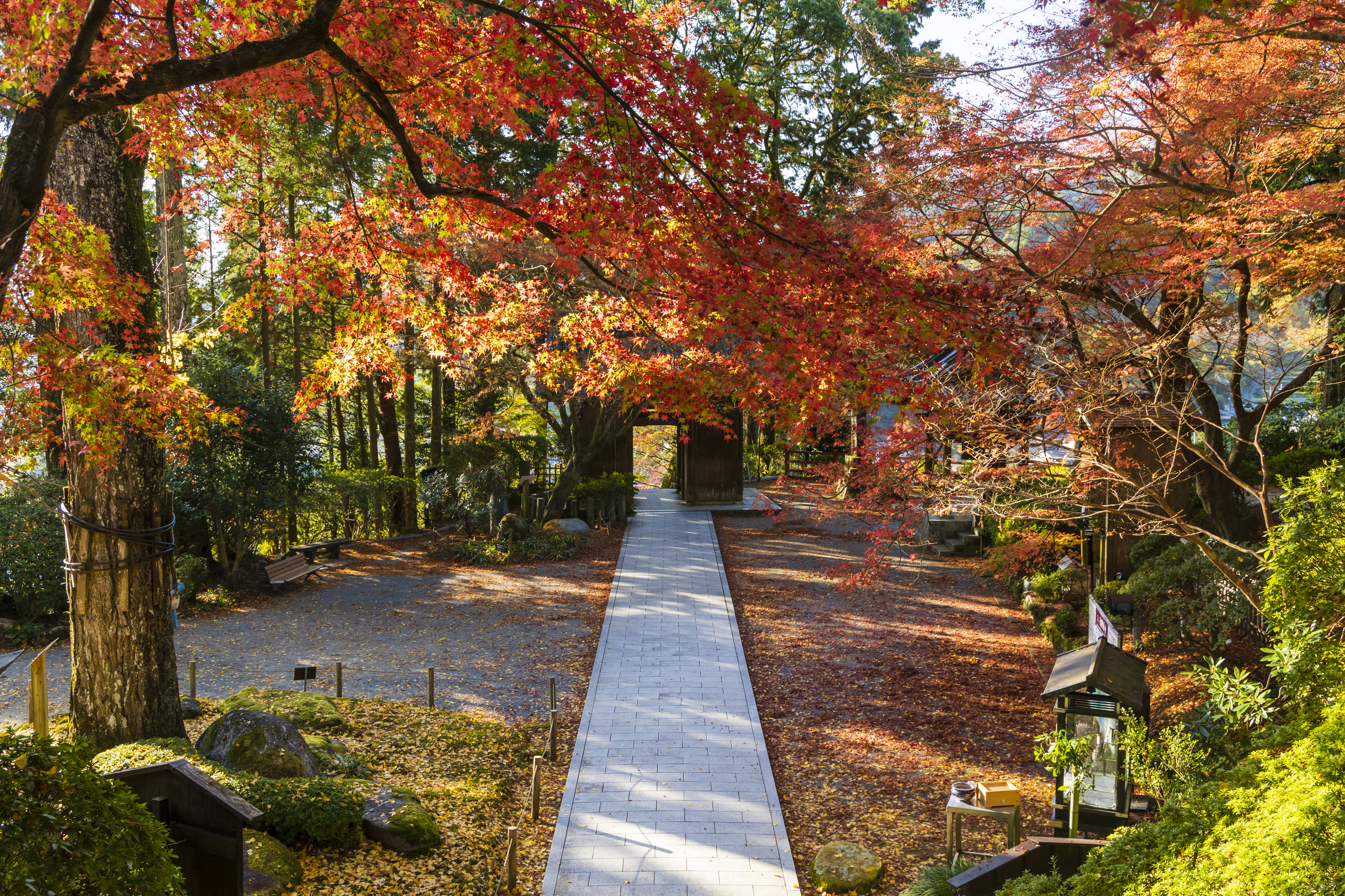 画像:大興善寺の写真