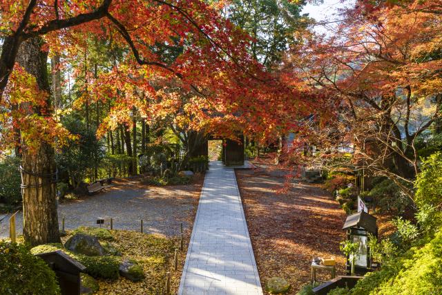 画像:大興善寺の写真