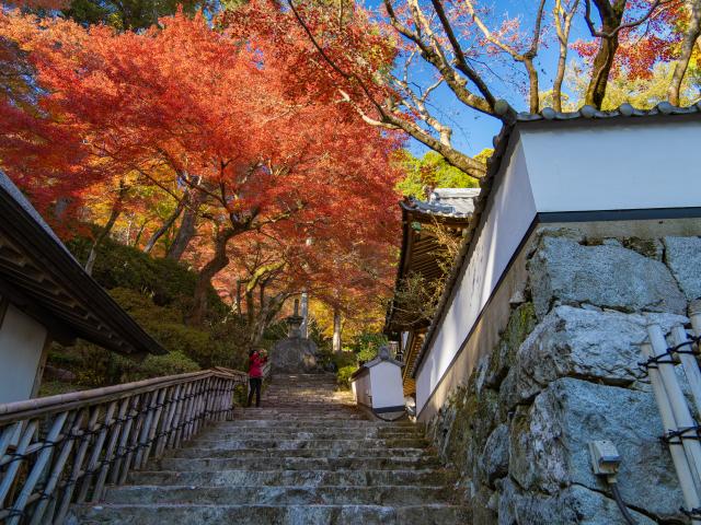 写真：大興善寺