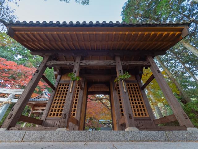 写真：大興善寺