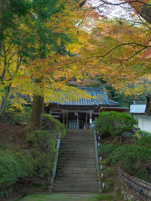 写真：大興善寺