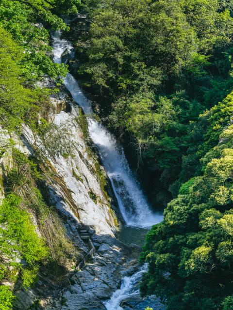 写真：観音の滝