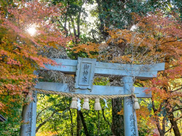 写真：武雄神社