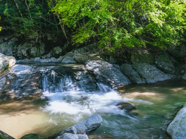 写真：観音の滝