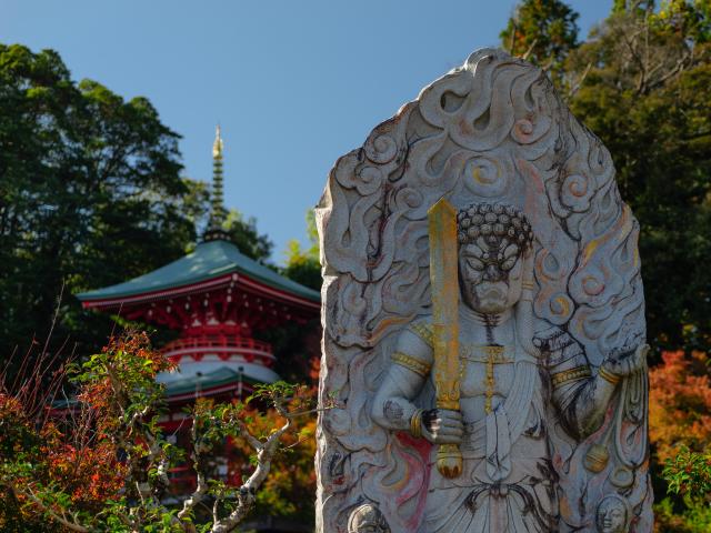 写真：高野寺