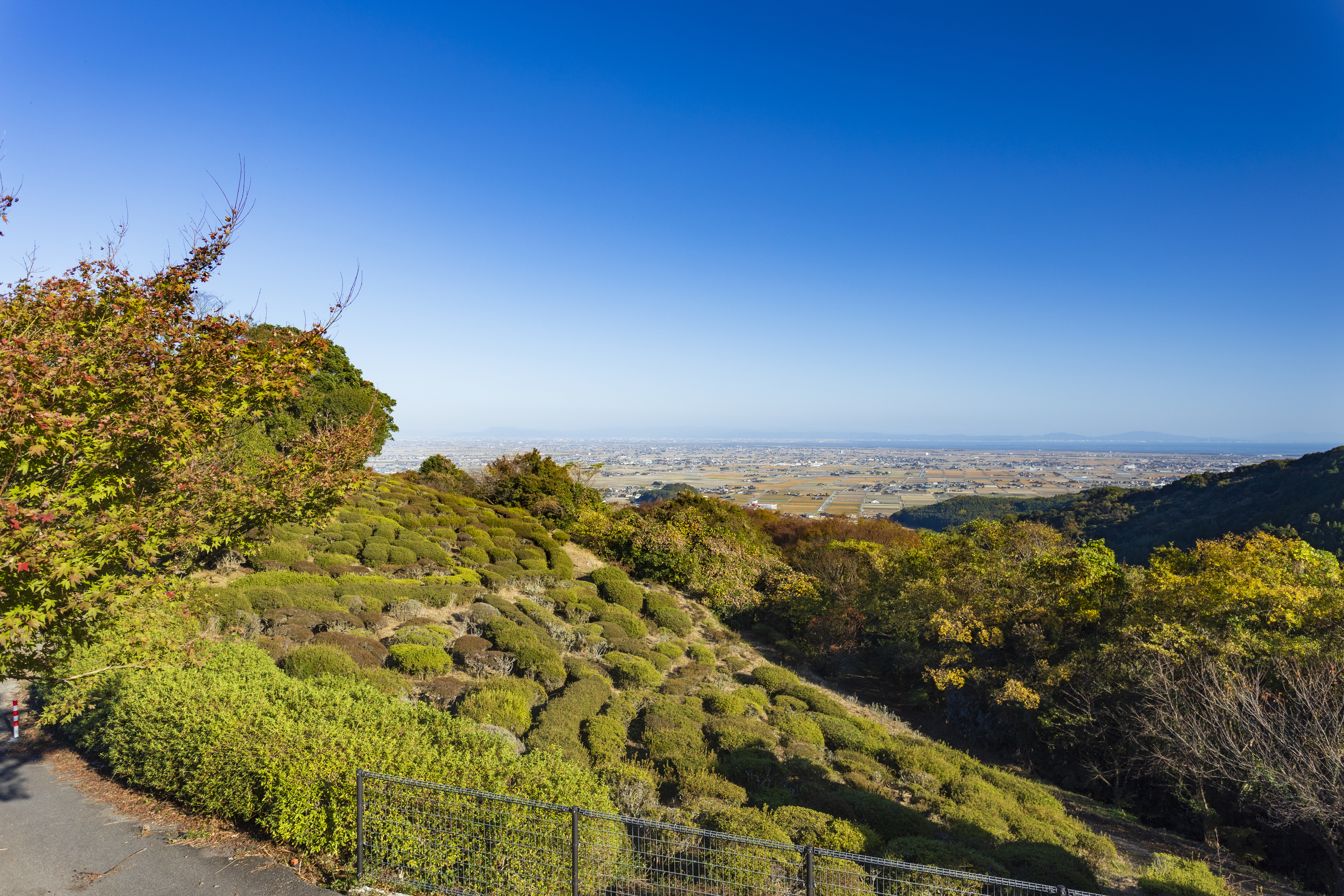 画像:歌垣公園の写真