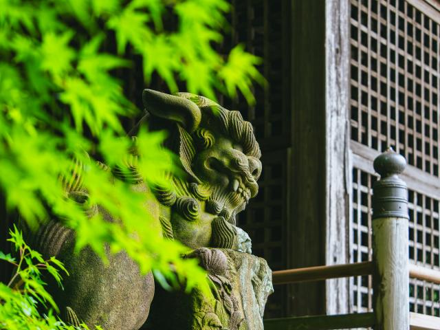 写真：須賀神社