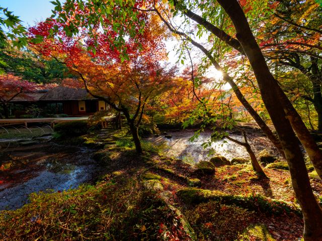 写真：九年庵