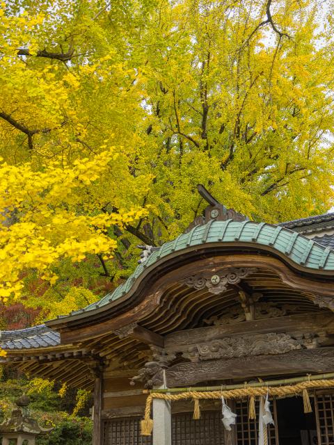 写真：綾部八幡神社