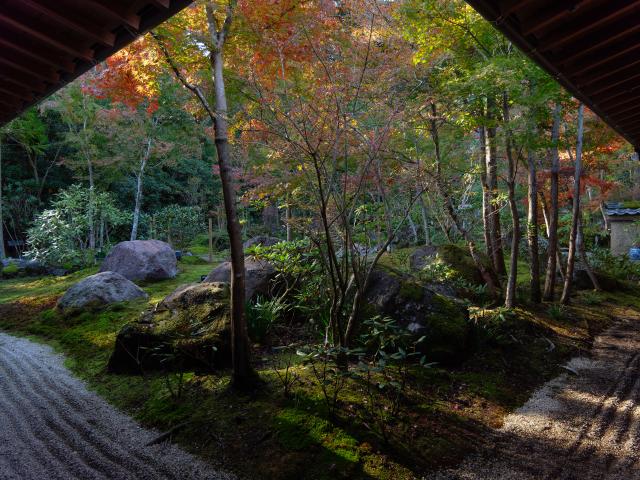 写真：高野寺