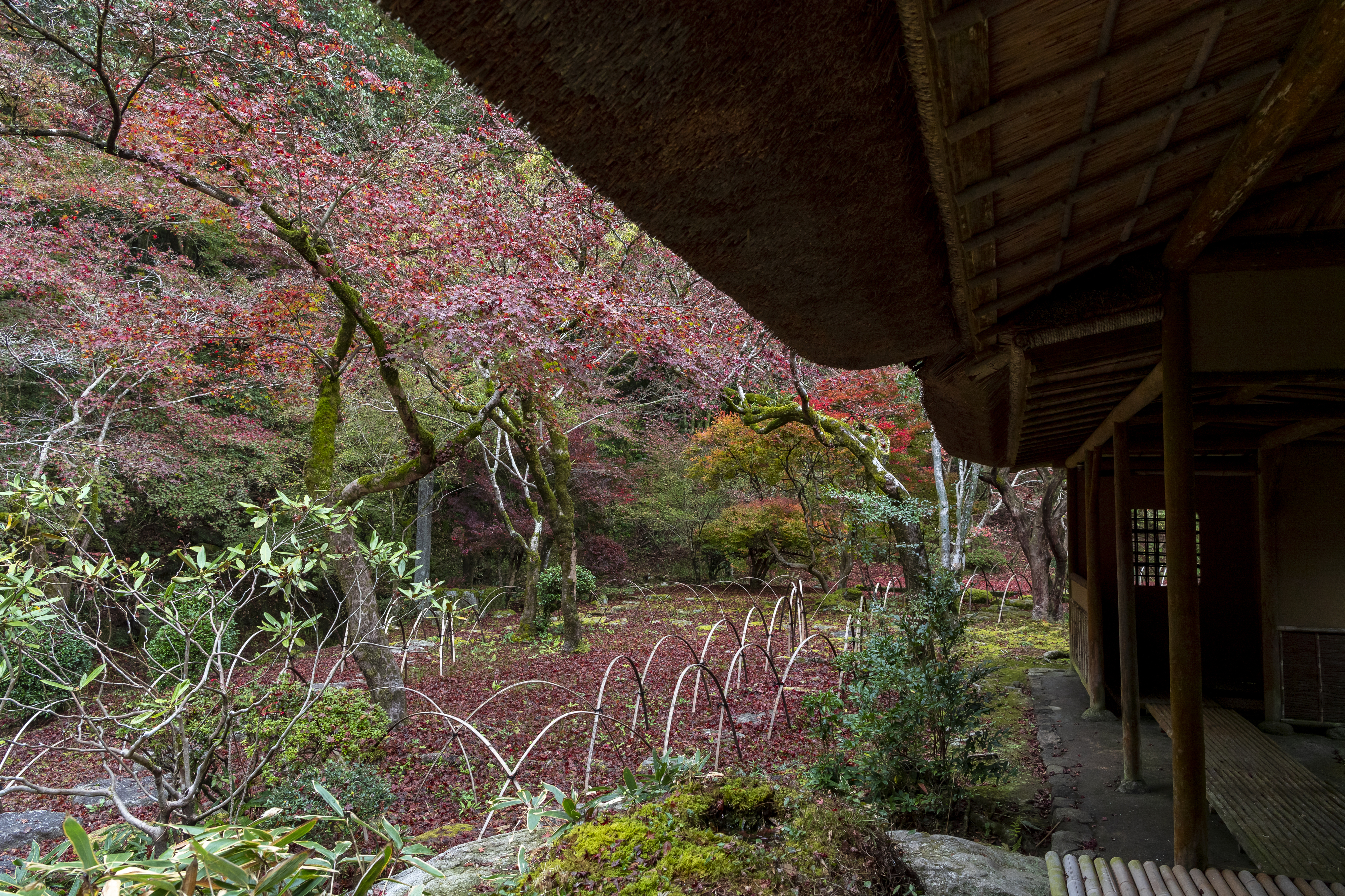 画像:九年庵の写真