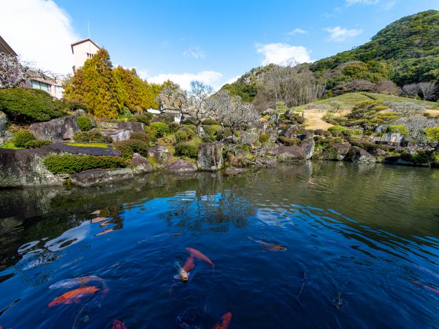 写真：慧洲園の梅