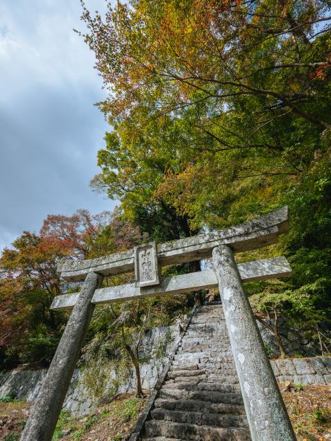 写真：大山祇神社