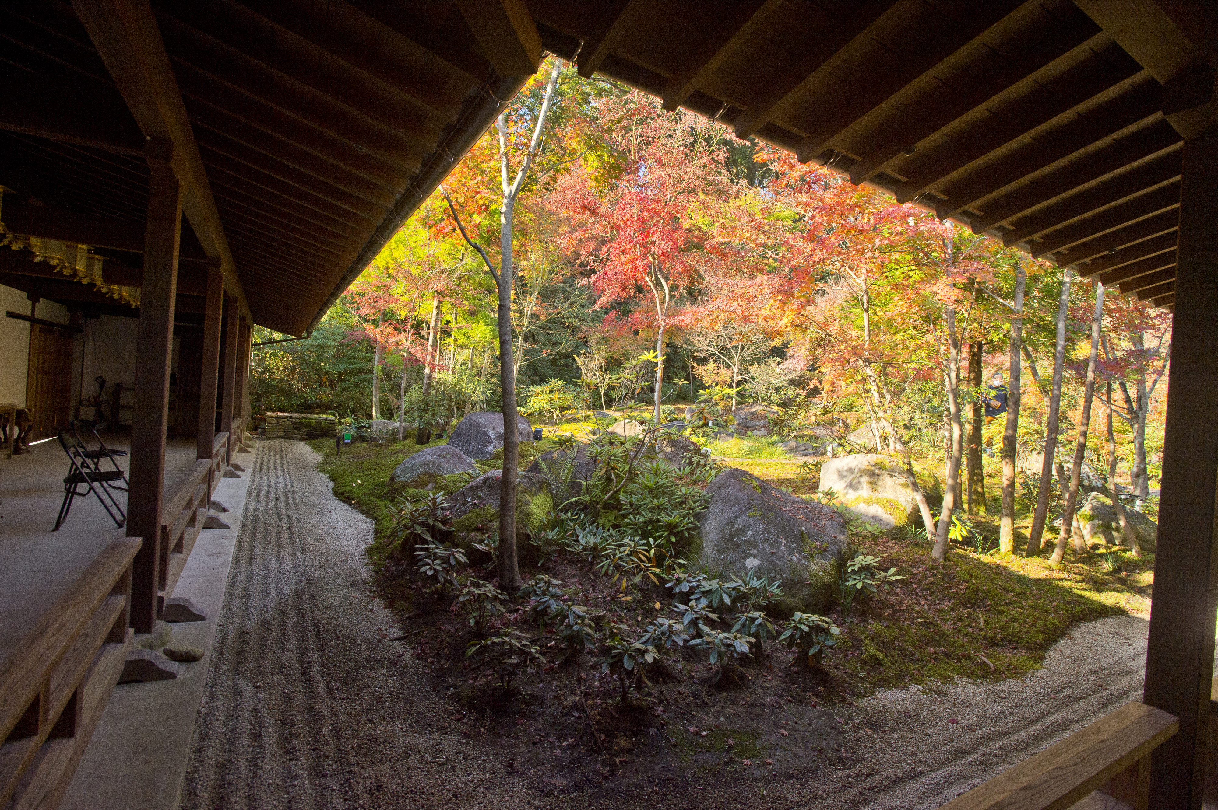 画像:高野寺の写真