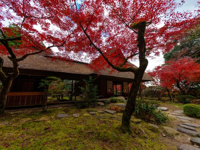 写真：九年庵