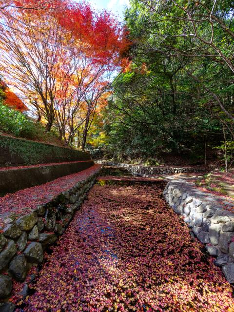 写真：竜門峡