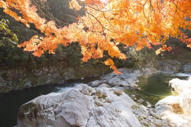 画像:雄淵・雌淵の写真