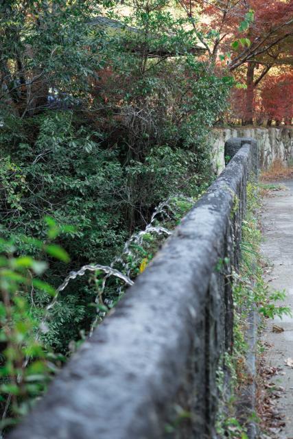 写真：眼鏡橋