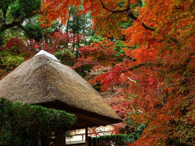 写真：仁比山神社