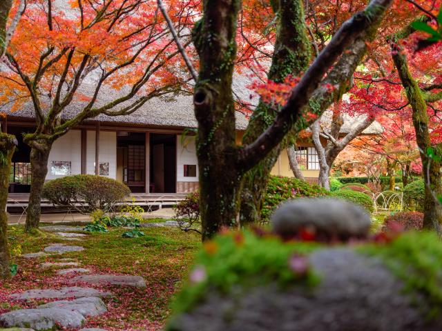 写真：九年庵