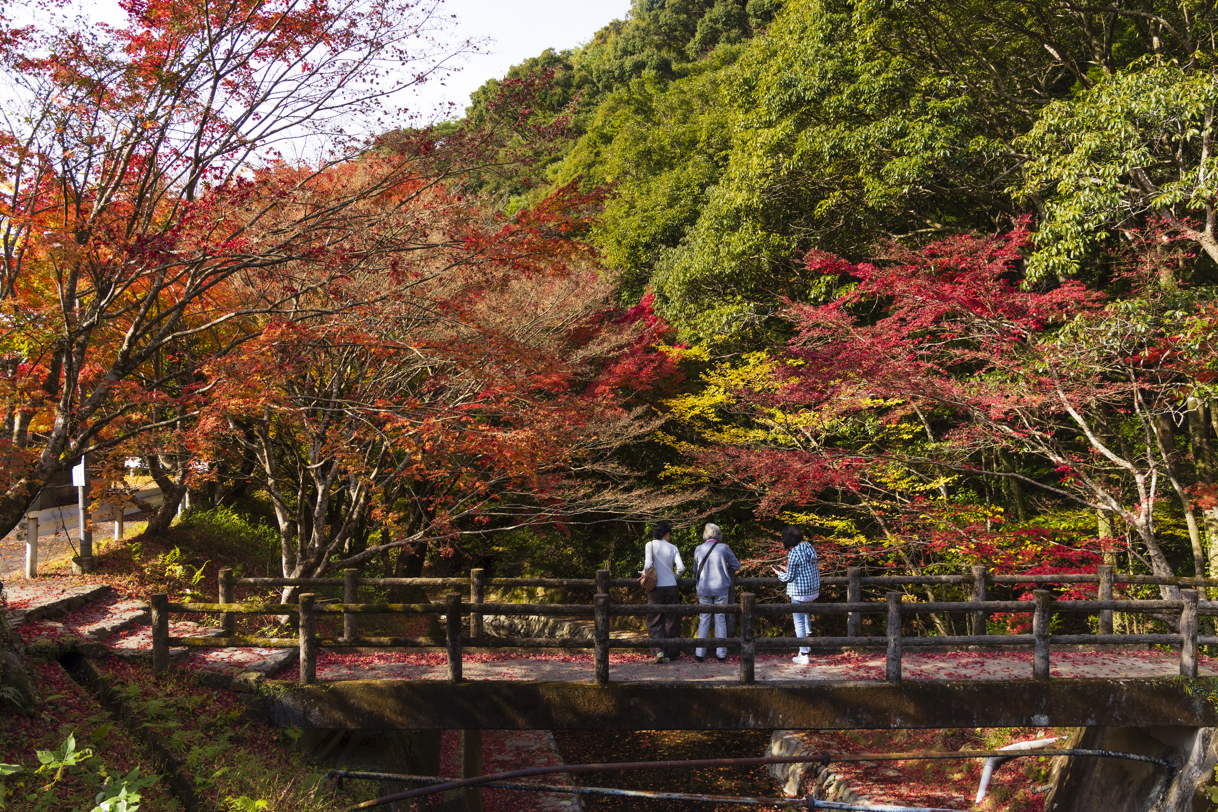 画像:竜門峡の写真