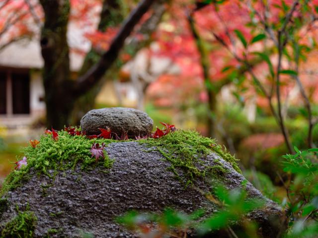 写真：九年庵