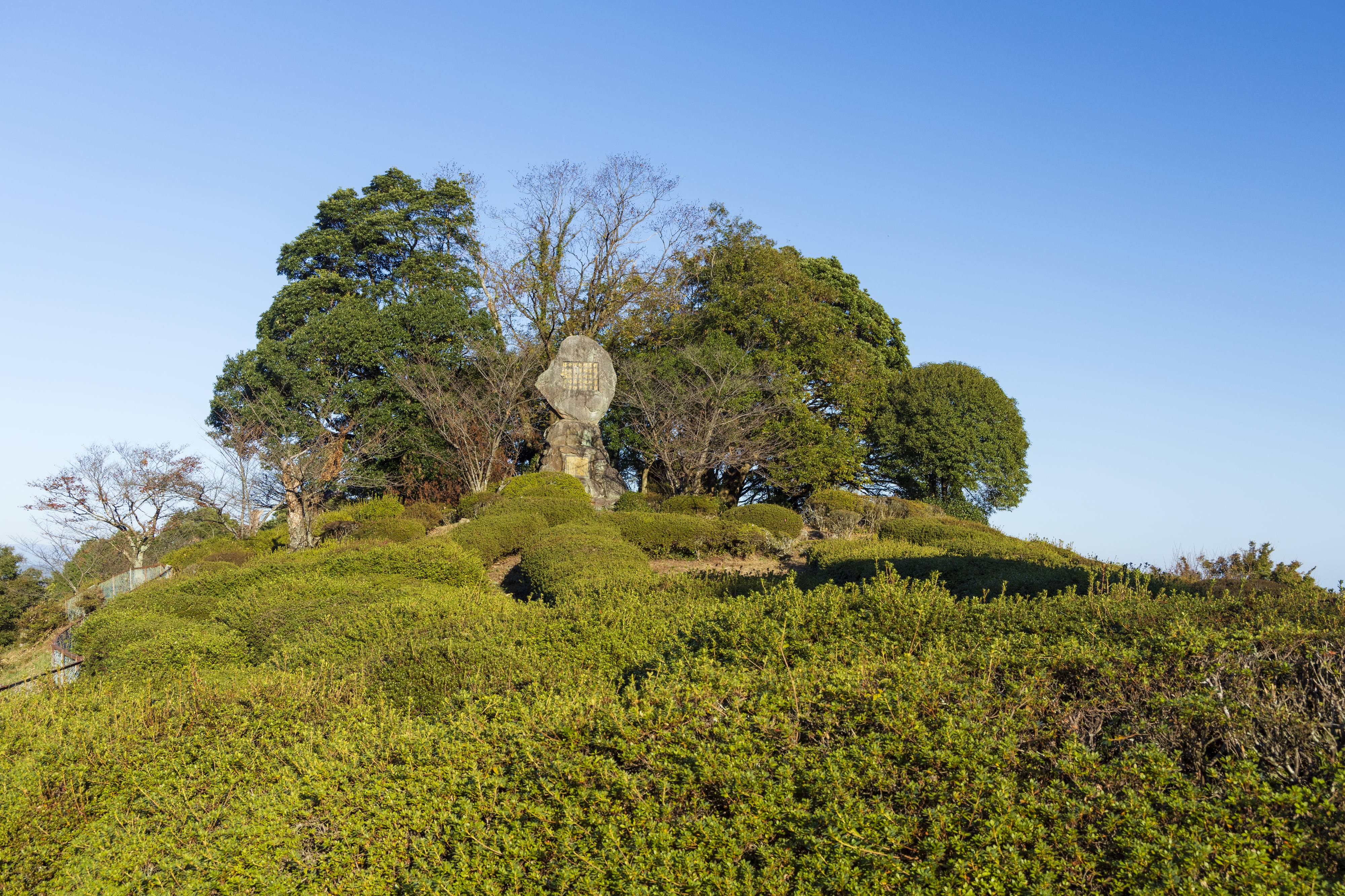 画像:歌垣公園の写真