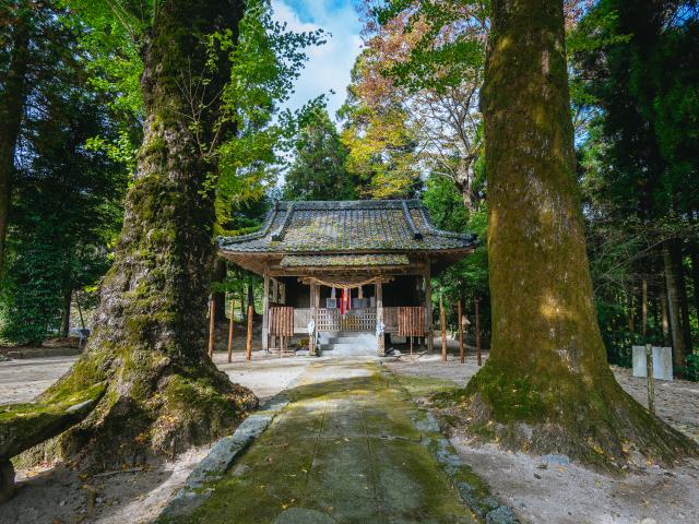 写真：大山祇神社