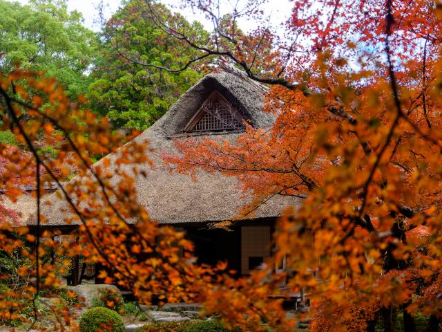 写真：九年庵