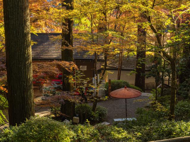 写真：大興善寺