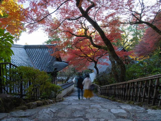 写真：大興善寺