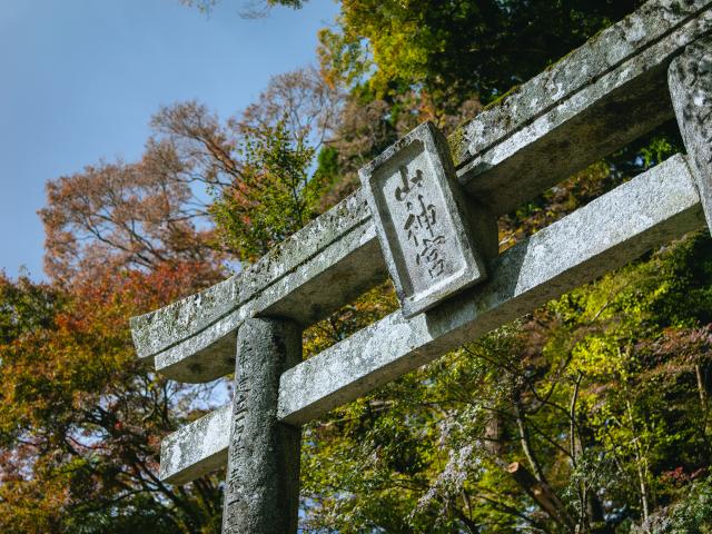 写真：大山祇神社