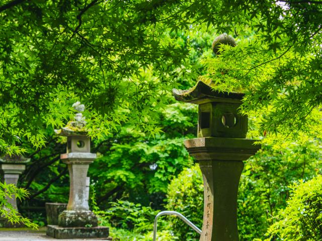 写真：須賀神社