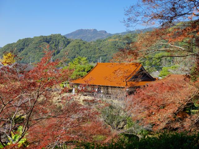 写真：西渓公園