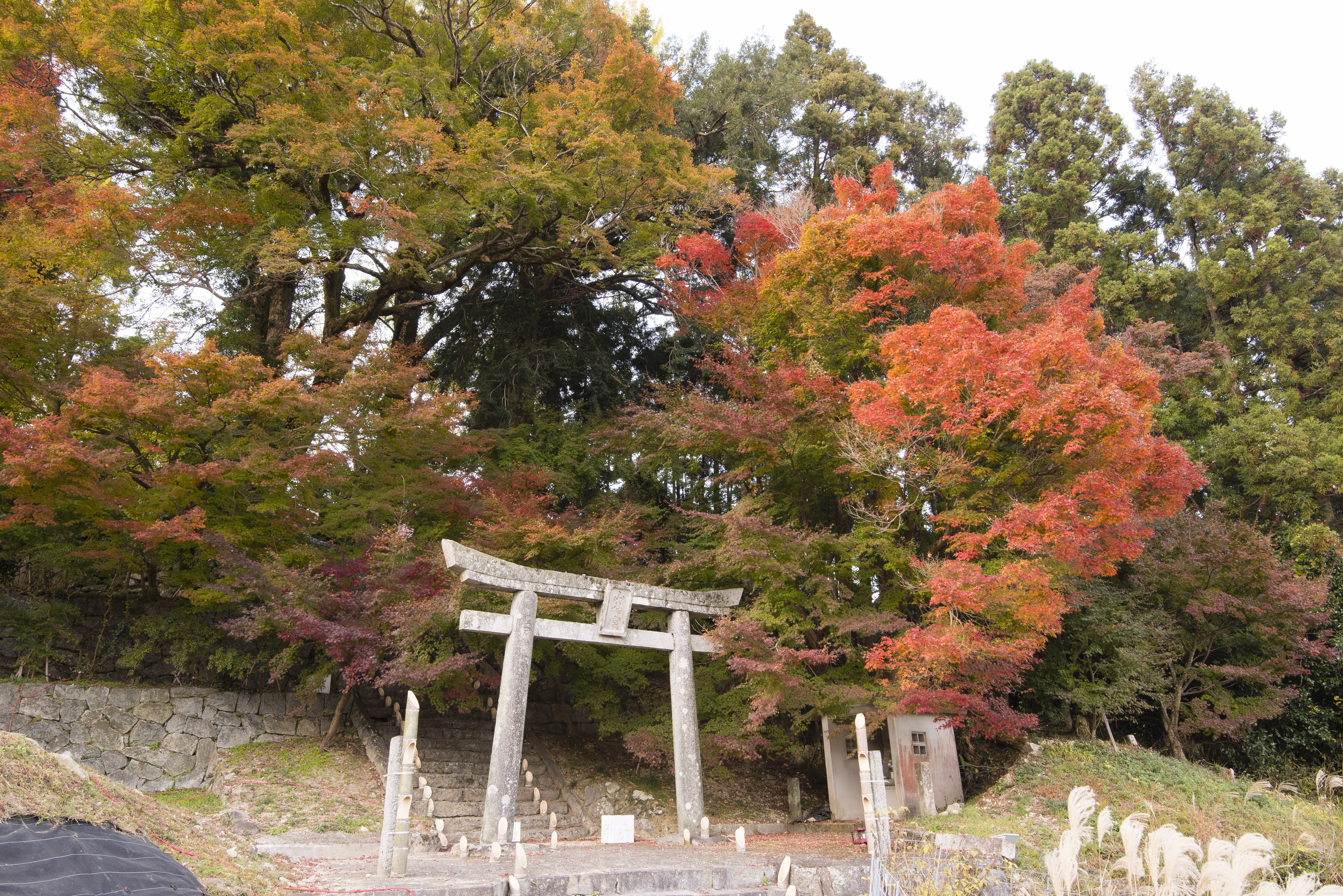 画像:河内大山祇神社の写真