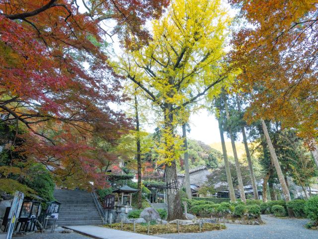 写真：大興善寺