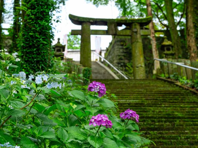 写真：福母八幡宮