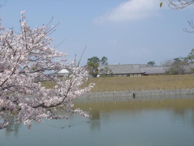 画像:佐賀城本丸歴史館の写真