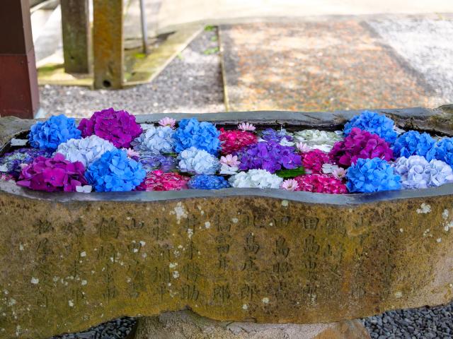 写真：福母八幡宮