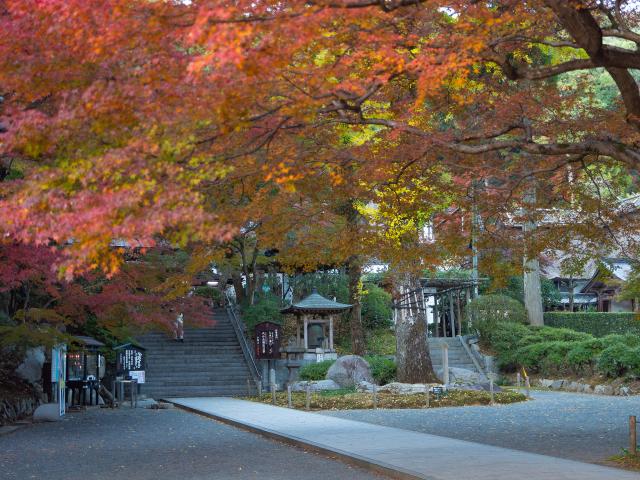 写真：大興善寺