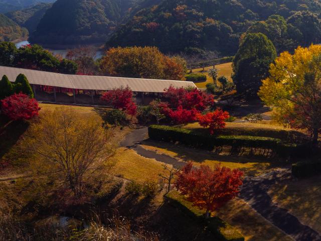 写真：秋の有田陶磁器まつり