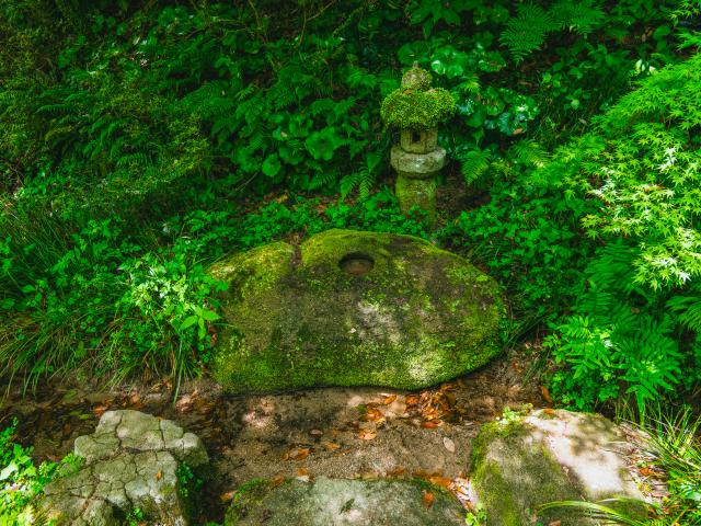 写真：九年庵