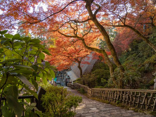 写真：大興善寺