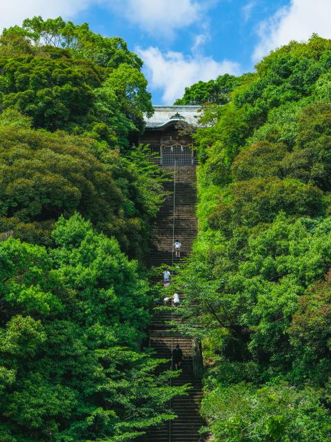 写真：須賀神社