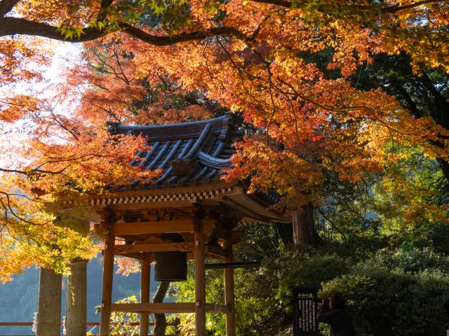 写真：大興善寺