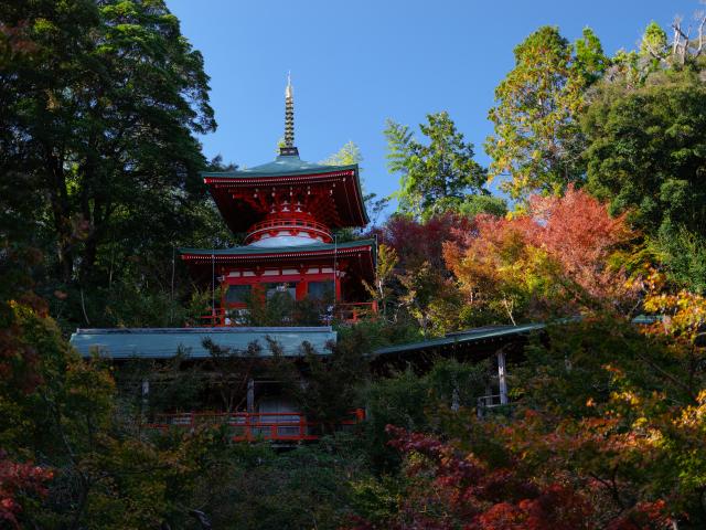 写真：高野寺