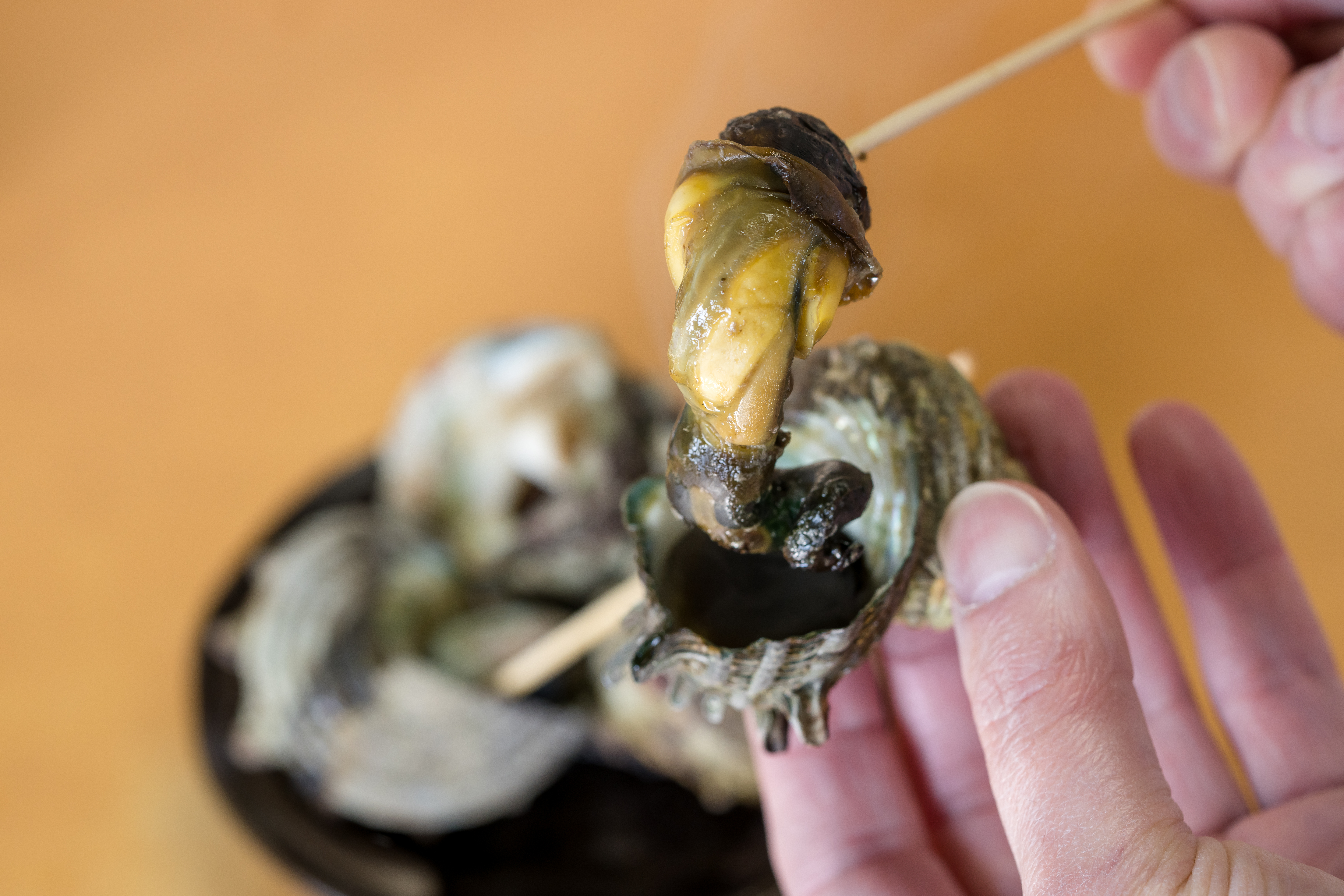 写真：波戸岬 サザエのつぼ焼き