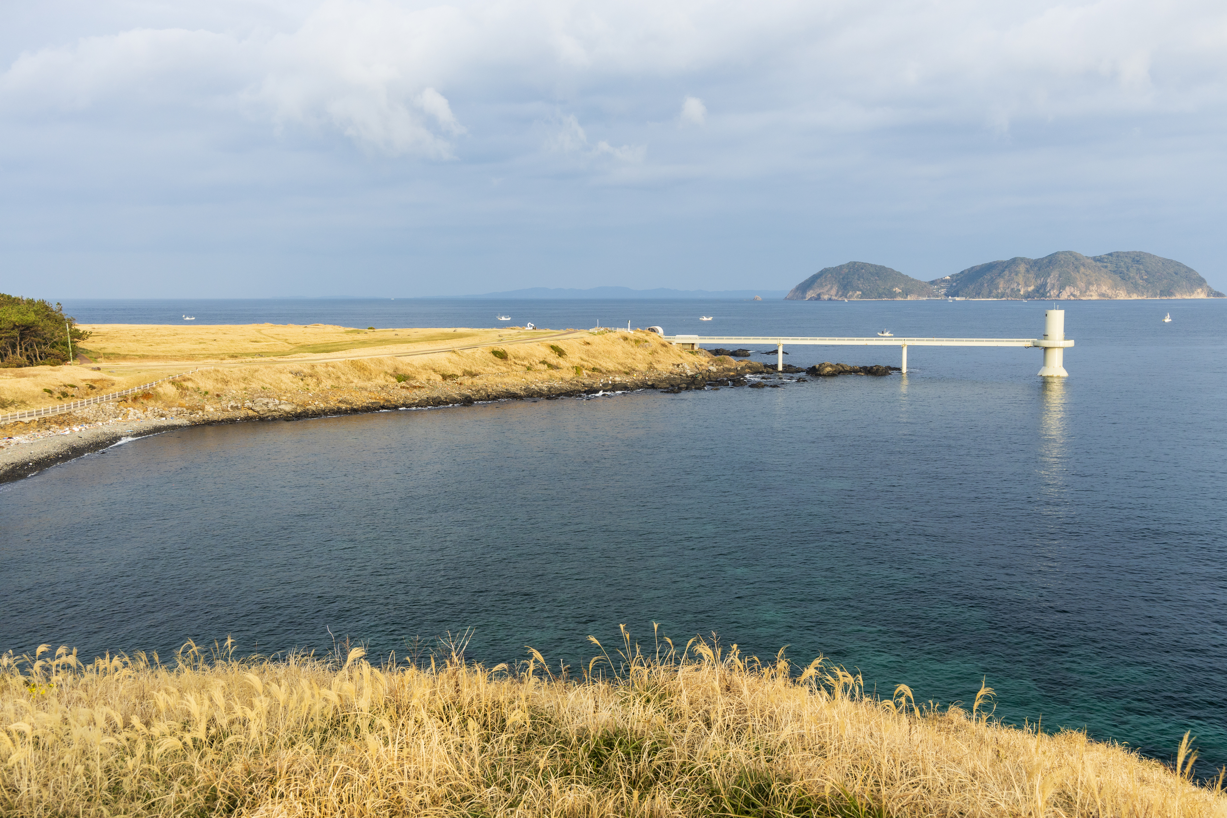 画像:波戸岬の写真