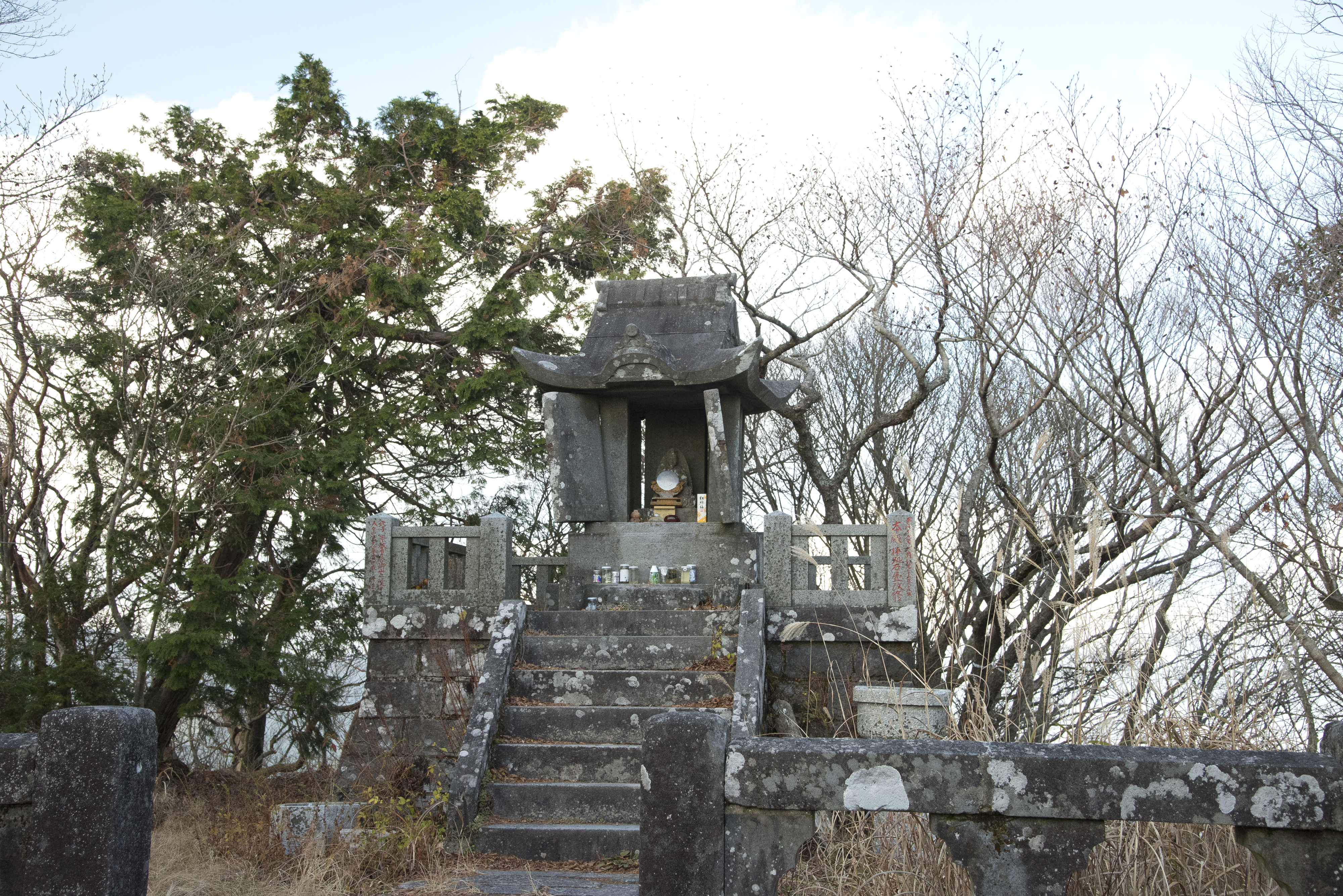 画像:多良岳の写真